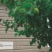 Сайдинг Ю-Пласт TIMBERBLOCK Пихта (Тимберблок) Cахалинская купить в Березниках