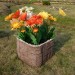 Цветник КАНЬОН купить в Березниках
