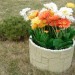 Цветник КАНЬОН купить в Березниках